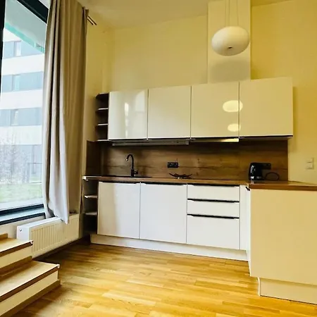 Holesovice, Garden, Garage Appartement *